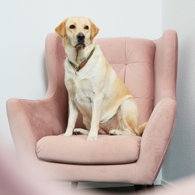 frida-team-ellis-events-1