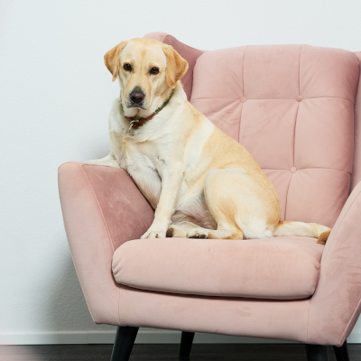 frida-team-ellis-events-2