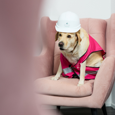 frida-team-ellis-events-3